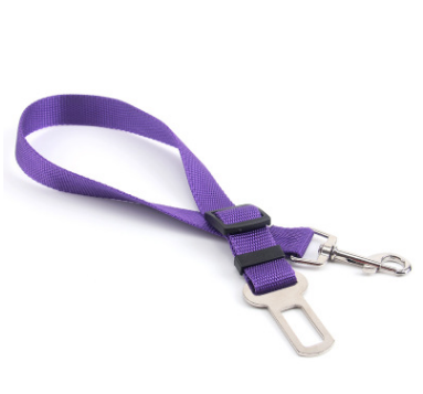 Fixed Strap Polyester Dog Strap Leash