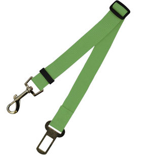 Fixed Strap Polyester Dog Strap Leash