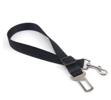 Fixed Strap Polyester Dog Strap Leash