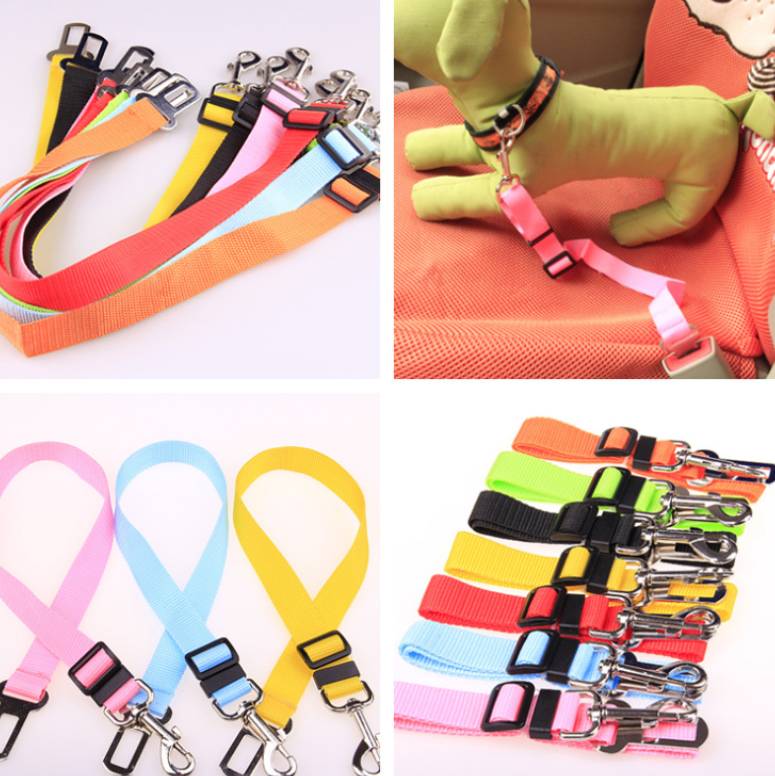 Fixed Strap Polyester Dog Strap Leash